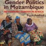 Sexuality and Gender Politics in Mozambique: Re-Thinking Gender in Africa