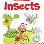 COPY COLORING- INSECTS
