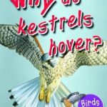Why Do Kestrels Hover?