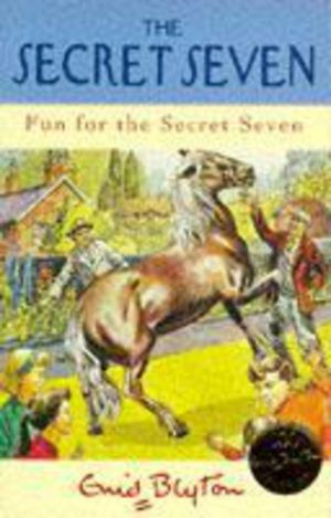 The Secret Seven: Fun For The Secret Seven