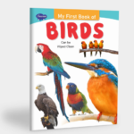 My First Book of Birds