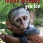 Micky Monkey Gets Lost-Heinrich Van Den Berg (author), Sue Barnett (author)